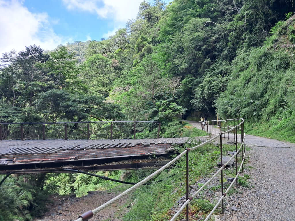 拉拉山國家森林遊樂區的圖片：第3張照片