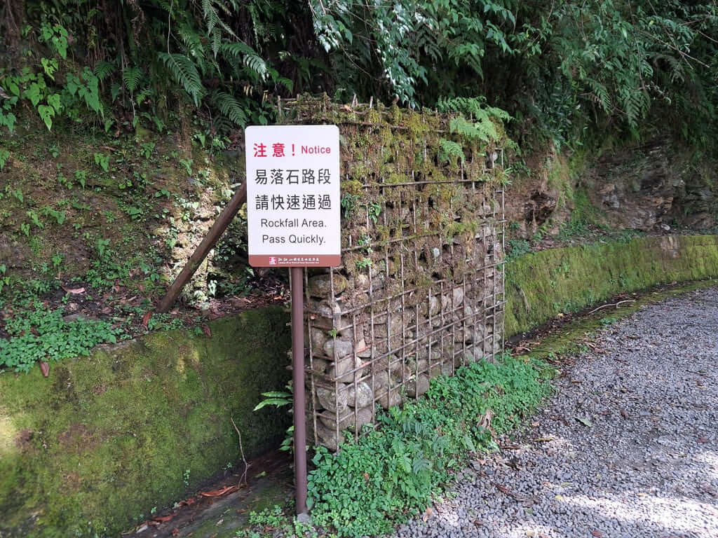 拉拉山國家森林遊樂區的圖片：第4張照片