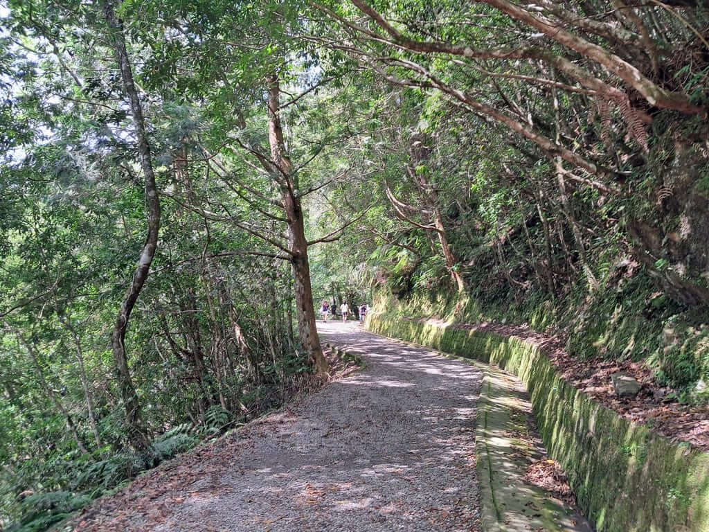 拉拉山國家森林遊樂區的圖片：第6張照片