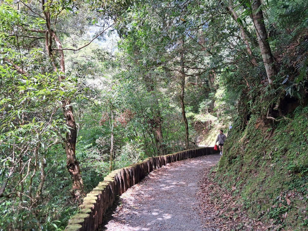 拉拉山國家森林遊樂區的圖片：第9張照片