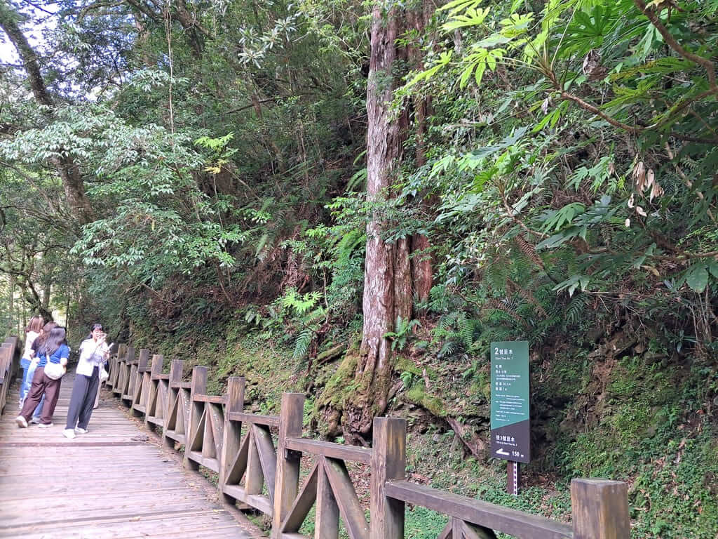 拉拉山國家森林遊樂區的圖片：第11張照片