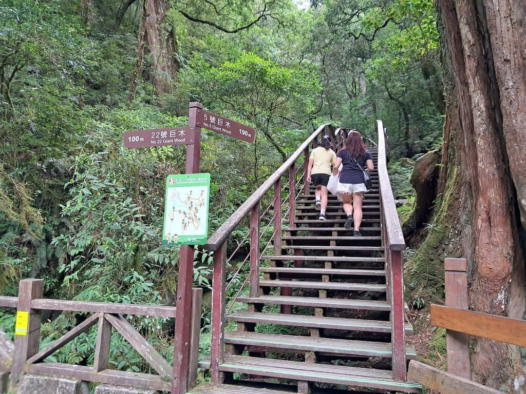 拉拉山國家森林遊樂區的圖片：第18張照片