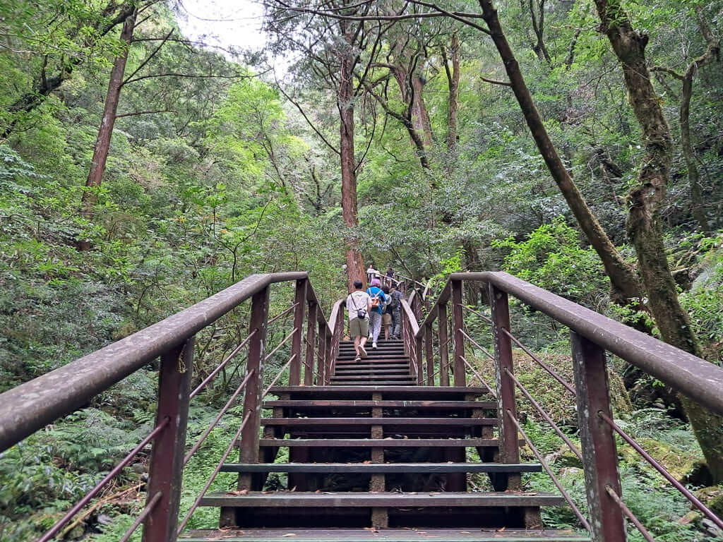 拉拉山國家森林遊樂區的圖片：第19張照片