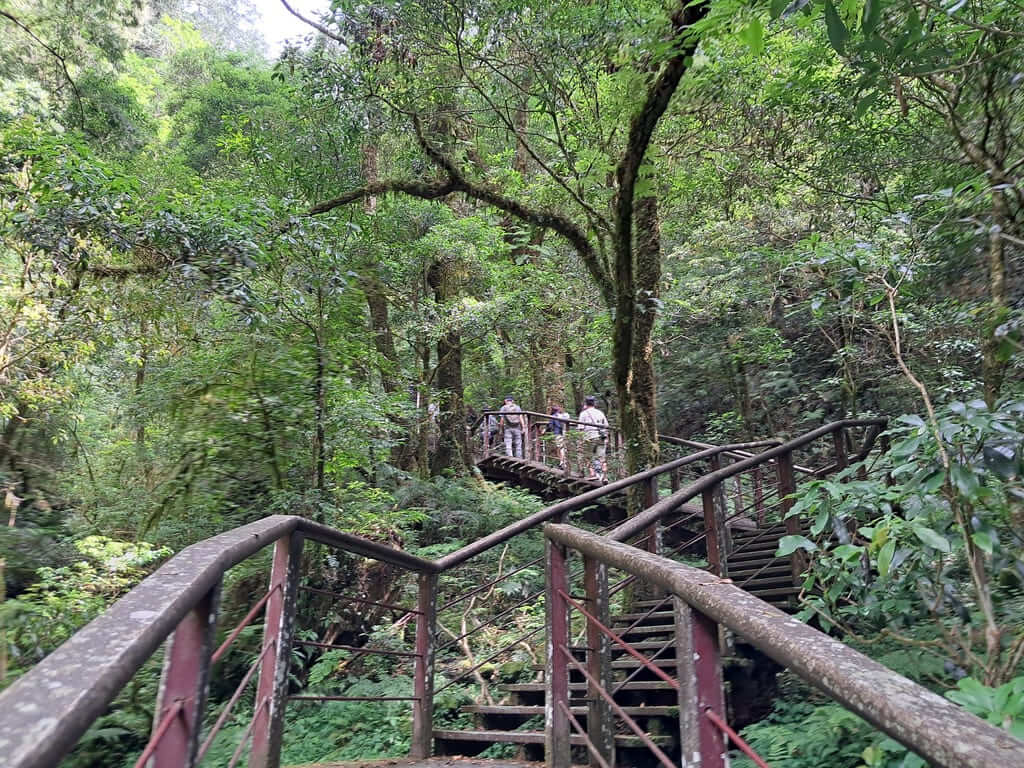 拉拉山國家森林遊樂區的圖片：第20張照片