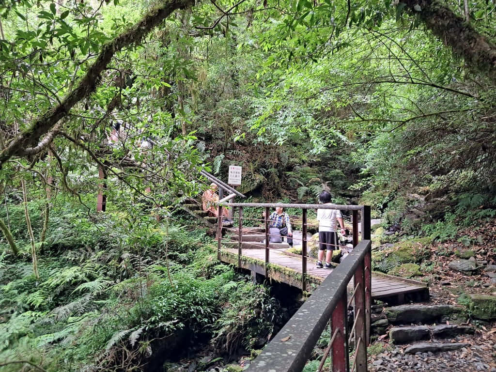 拉拉山國家森林遊樂區的圖片：第24張照片