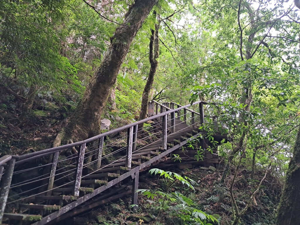 拉拉山國家森林遊樂區的圖片：第45張照片