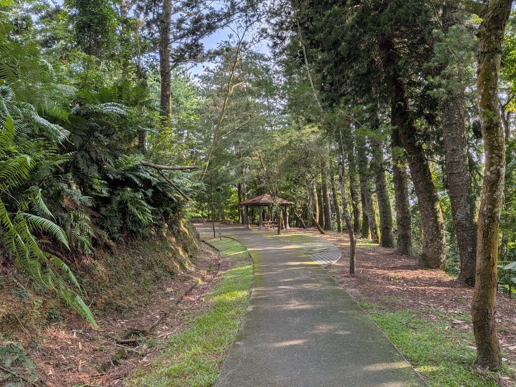 日月潭國家風景區的圖片：第4張照片