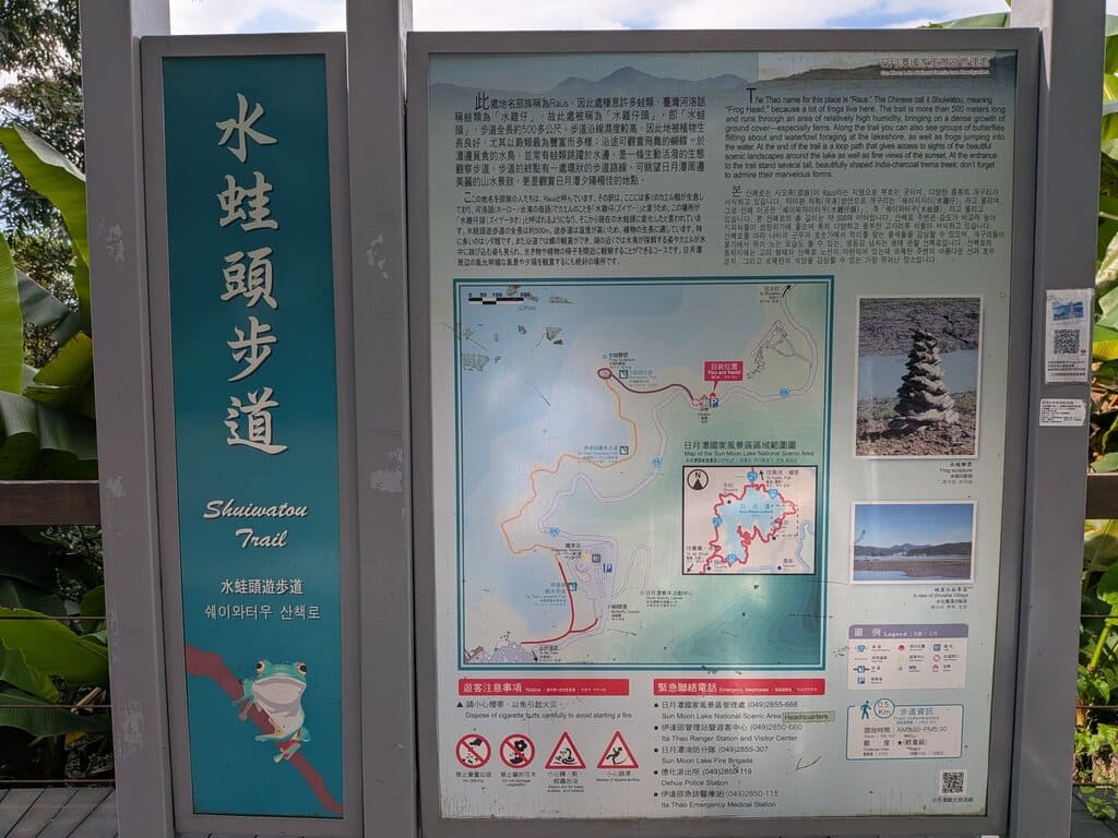 九蛙疊像的圖片：第2張照片